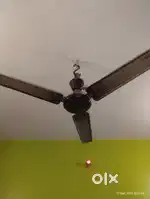 Silling fan small blade note very long blade