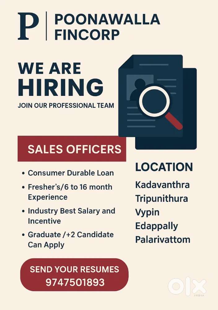 SALES officer consumer durable loan