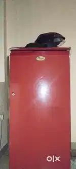 Whirlpool 180 Ltr Fridge for Sale