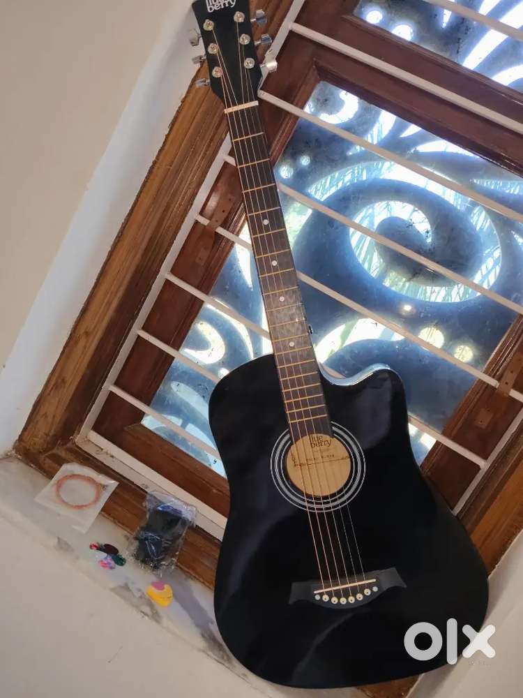 Music instrument ; guitar