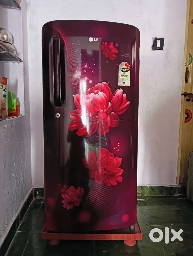 Fridge with stand
