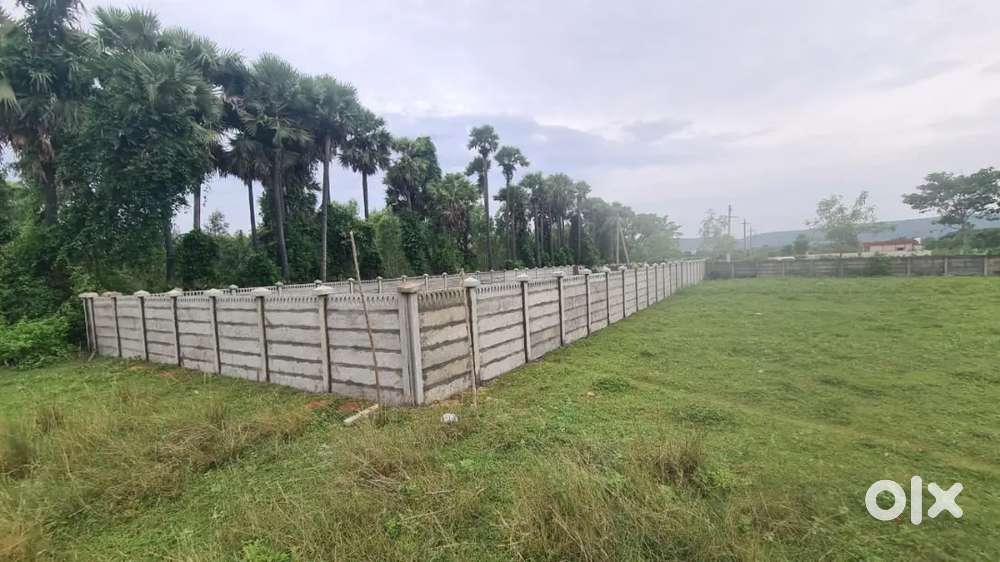 Nidigattu harbor city layout beside 660 sqyds plot sale