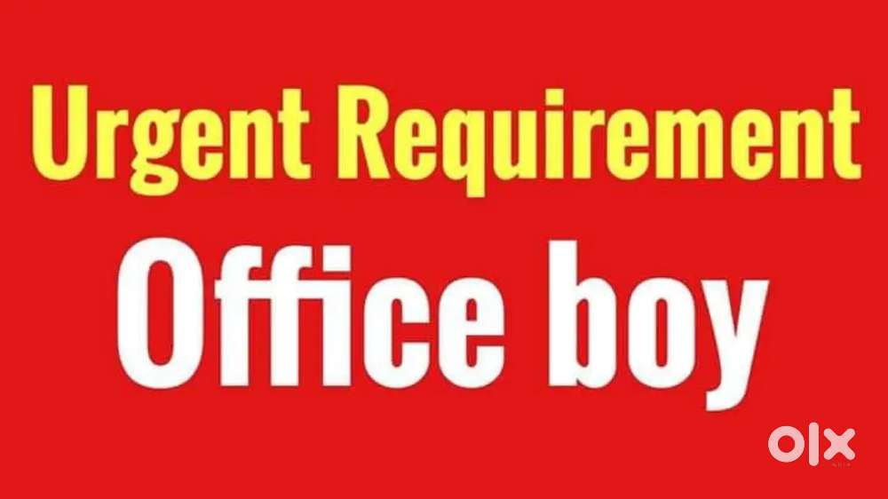 Office boy required