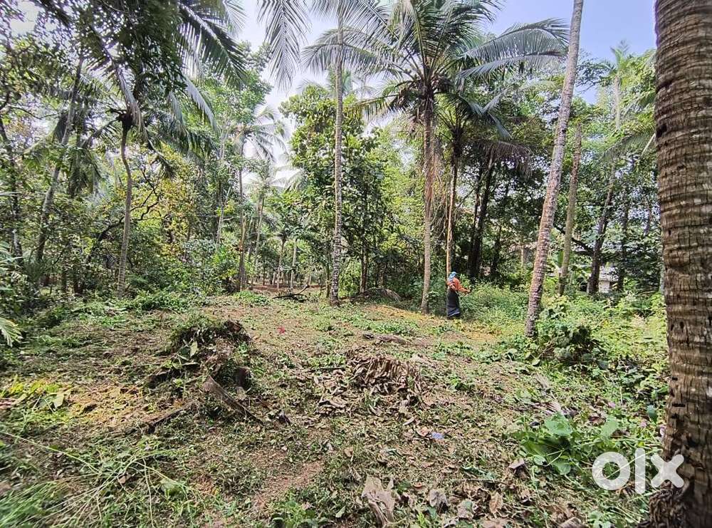 6 Cent plot for sale near Kakkodi