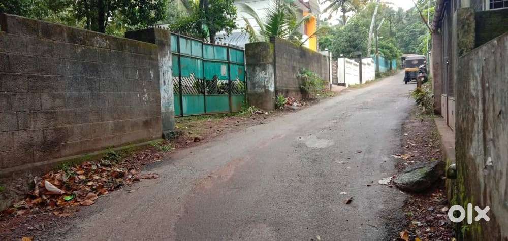 LAND FOR SALE IN POONKULAM