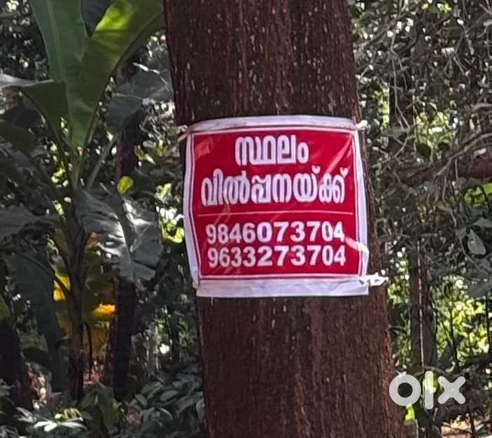 17 CENT LAND FOR SALE  AT PINARAYI PANDAKAPARA