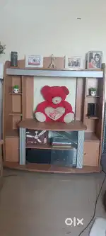 TV showcase