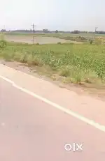 NH 527 C 20 Bigha plot (1900 sq ft)