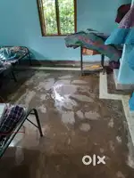Roommate required