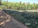 വഴിത്തലയിൽ 80 cent സ്ഥലം വില്പനക്ക്.