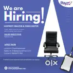Sales executive