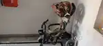 Baby kids cycle babyhug branded