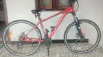 Kross 29 (24 speed gear cycle)
