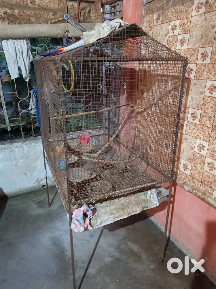 Bird cage (4 feet/2.5 feet)