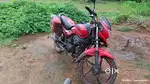 only sirious buyer