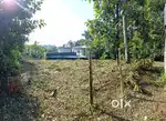 കിഴിശ്ശേരി ടൗണിൽ നിന്നും 1 km അകലെ. 8 സെന്റ് സ്ഥലം വില്പനക്ക്.