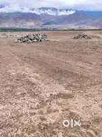 Stok Leh ladakh