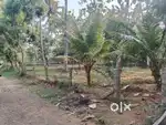 Konam Land for Sale