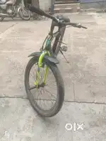 Model 2024