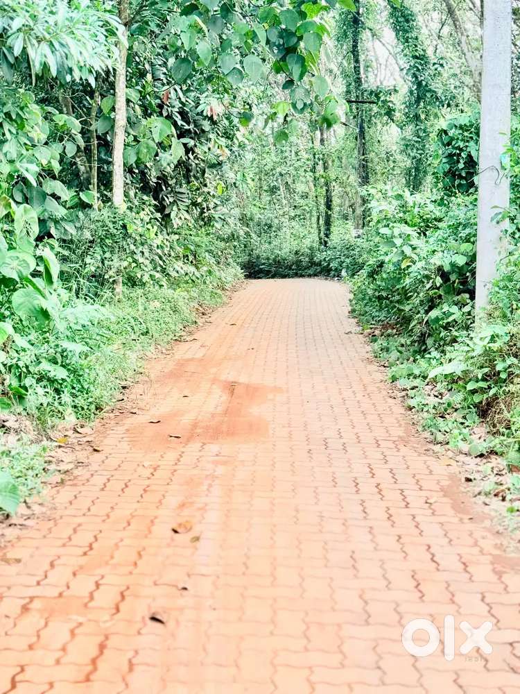 8 CENT HOUSE PLOT FOR SALE IN ARAKKAPPADY 100 METRE FROM BUS ROUTE