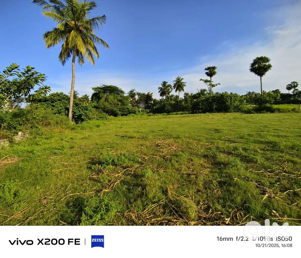 Just 300 meters to highway