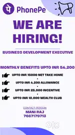 Business development executive