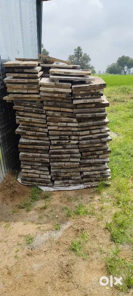 Cement Briks