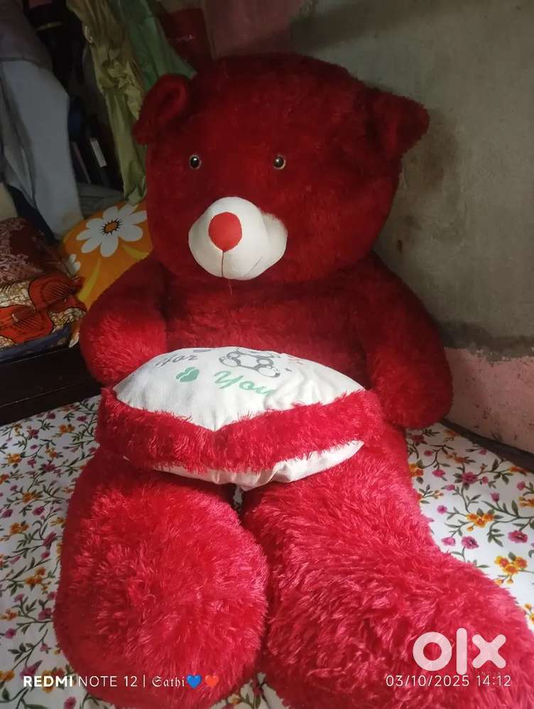 6 ft Teddy