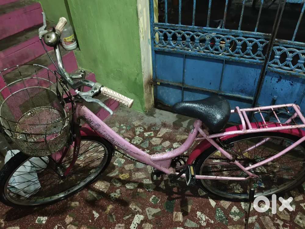 This is lady bird lady's cycle