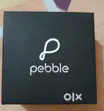 PEBBLE Frost 1.87 BT Calling Smart Watch