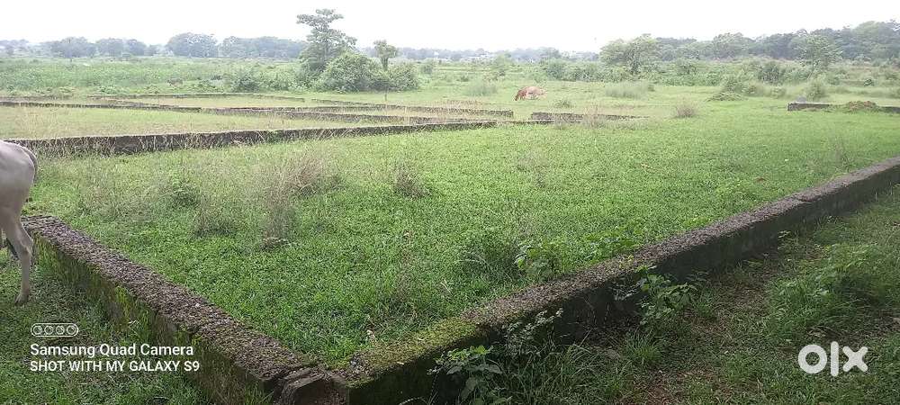 Residential plot