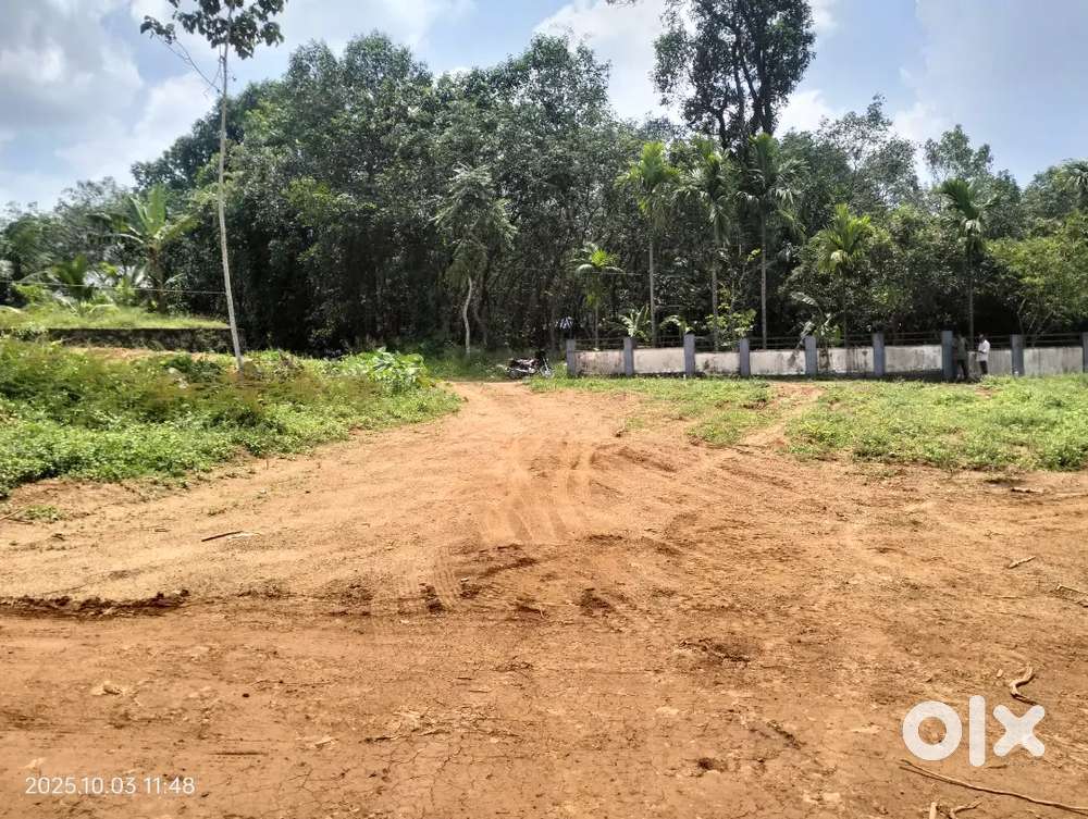 Ernakulam infopark thiruvaniyoor plot for sale