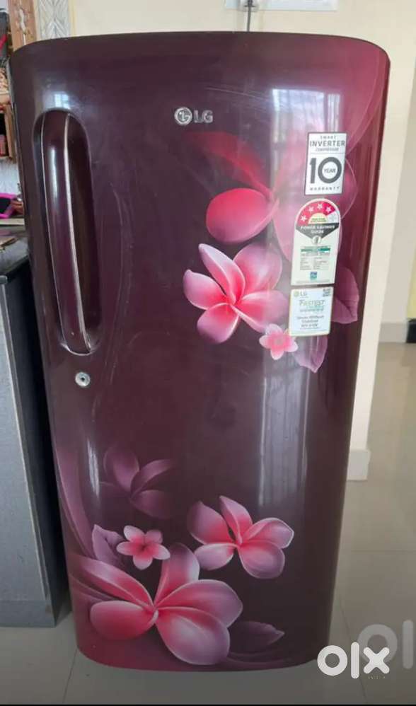 Low budget lite used fridges shop