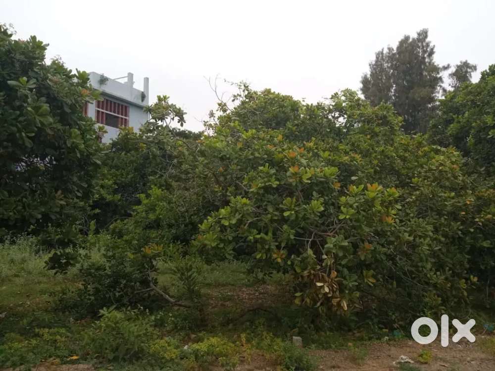 Farm land for sale
