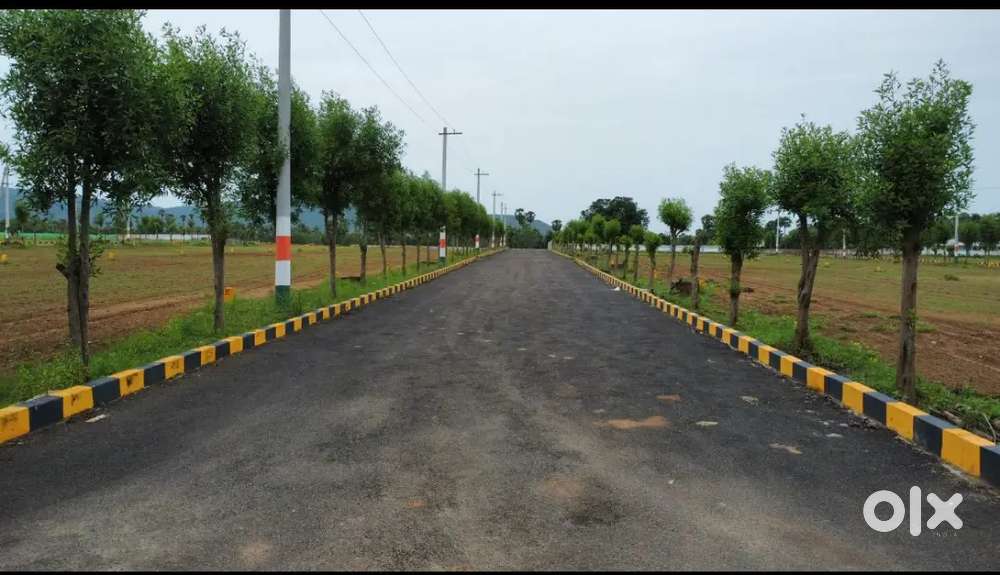 BHOGAPURAM BEACH VIEW RESORT* S