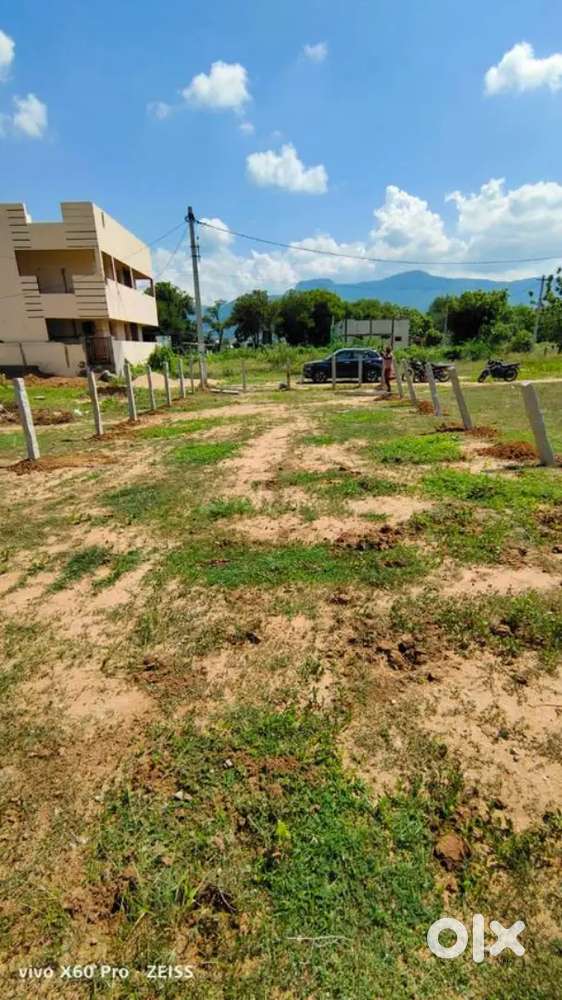 45 ankanams near to mangapuram  and I have 3 plots in peruru for sale