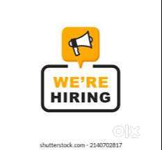 Courier Operations Assistant