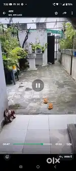 Arjent sell