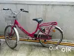 Miss India Pink Girls Cycle