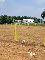 Pottipadu plots. 1km from ORR