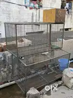 Cages for sale