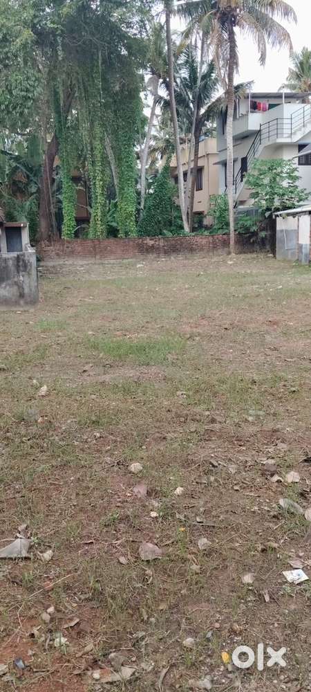 PLOT FOR SALE NEAR KARIKKAKOM PRIME LOCATION