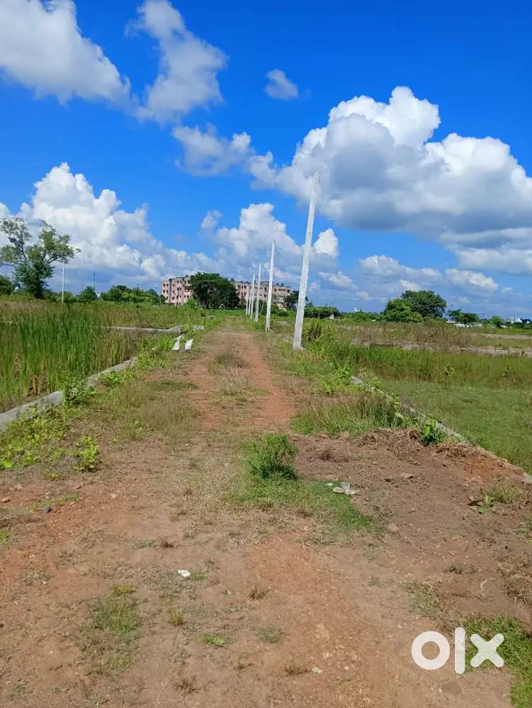 Who wants to buy a plot