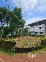 6 cent plot near Infopark, Kakkanad