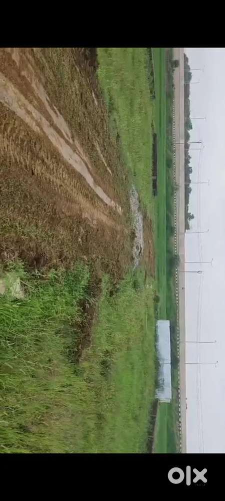 Kanholi ke niayr Bihta sarmera pe plot le