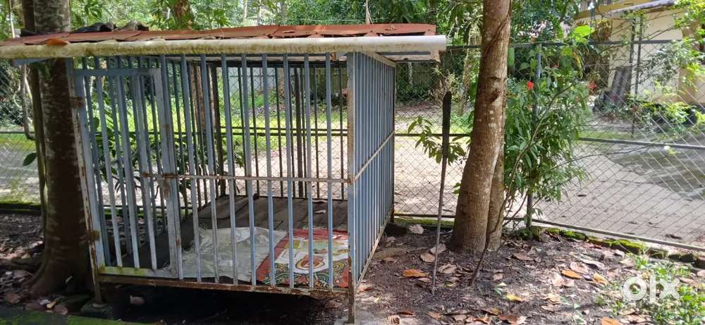 Dog cage 6x6.sq.feet