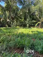 perumbavoor town 15 cent plot