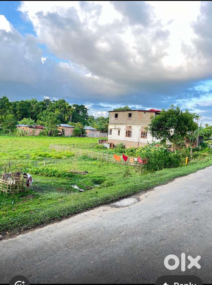 3 Khata Commercial / Resi Land in Back side of new DC Office Silchar