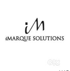 Customer Support Executive