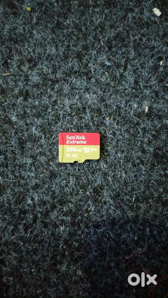 Sandick Extreme 256GB V30 A2